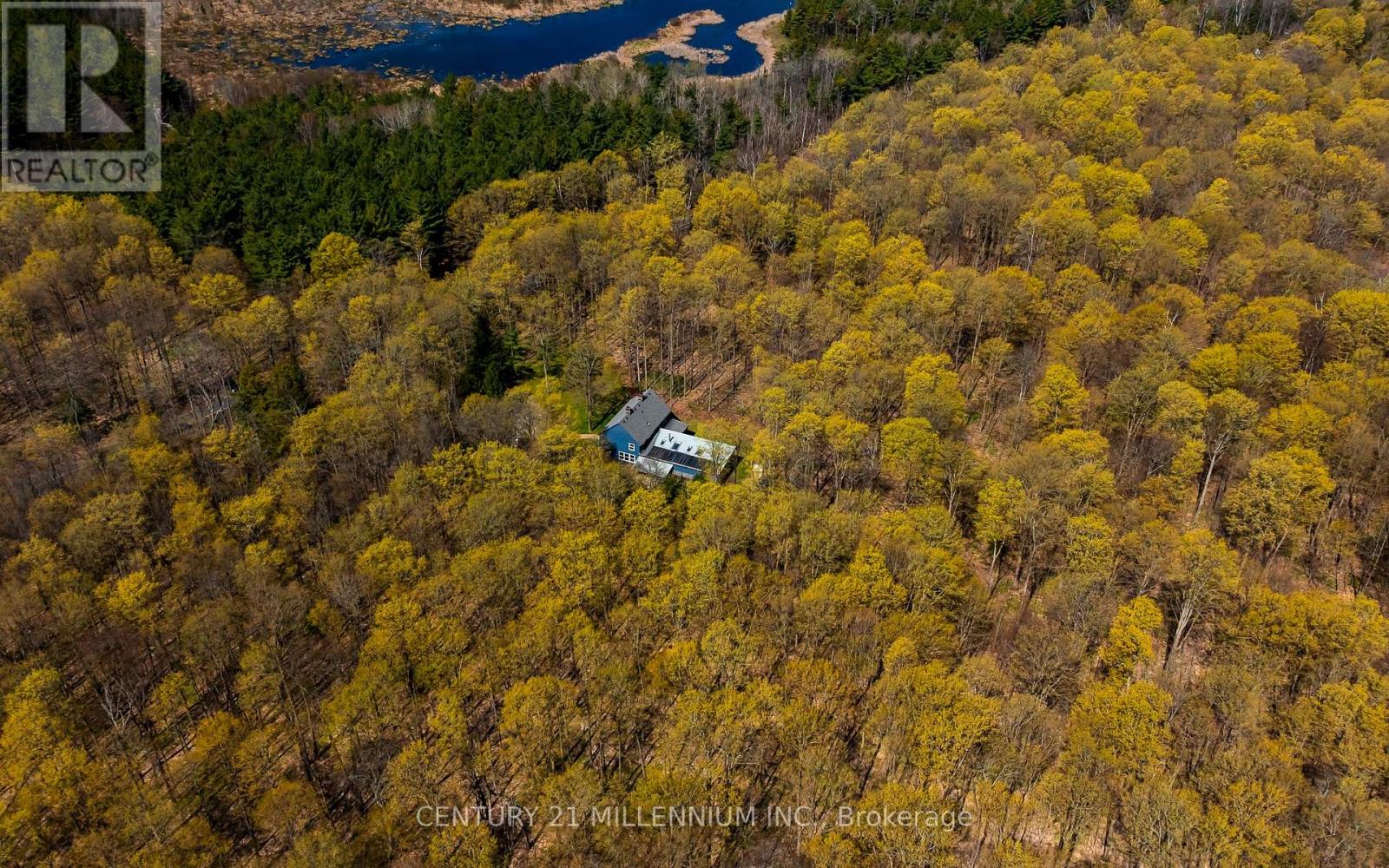 19211 Mountainview Road, Caledon, Ontario  L7K 2G6 - Photo 39 - W13110726