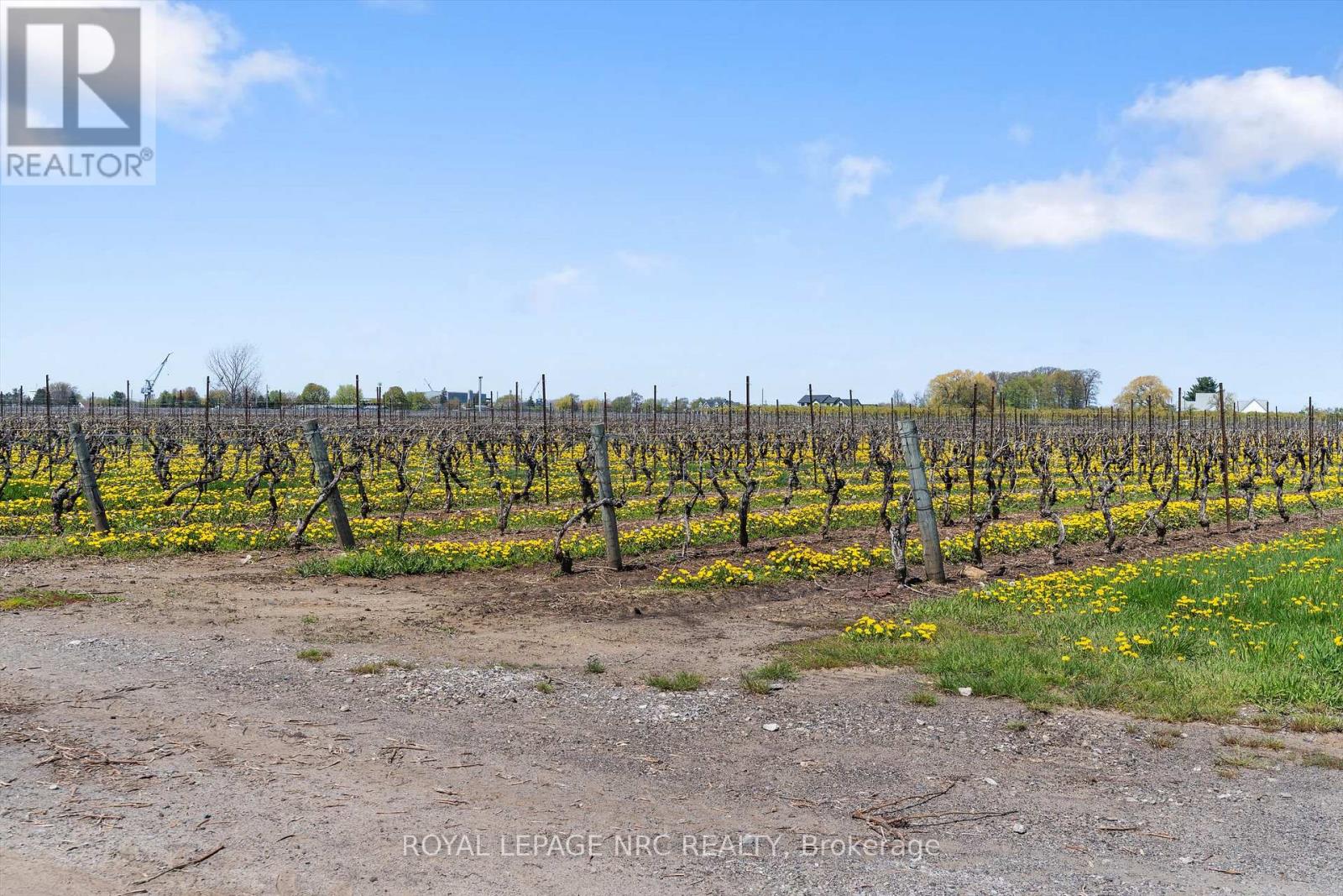 W/s Stewart Road, Niagara-On-The-Lake, Ontario  L0S 1J0 - Photo 4 - X12755970