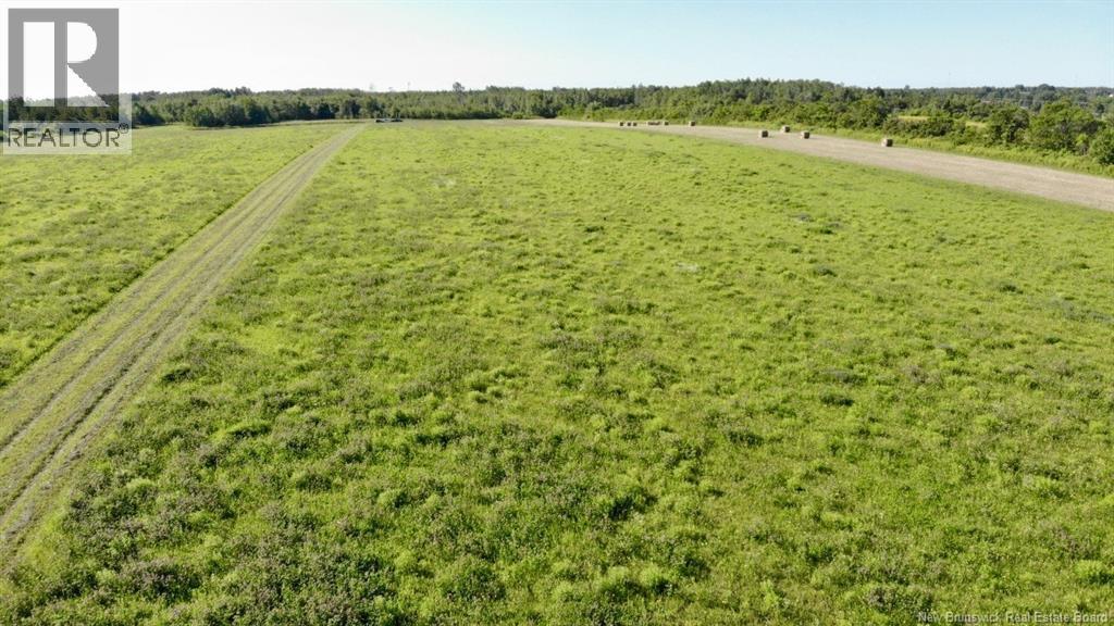Lot 1 Bas Cap Pele, Cap-Pelé, New Brunswick  E4N 1M1 - Photo 3 - NB138585