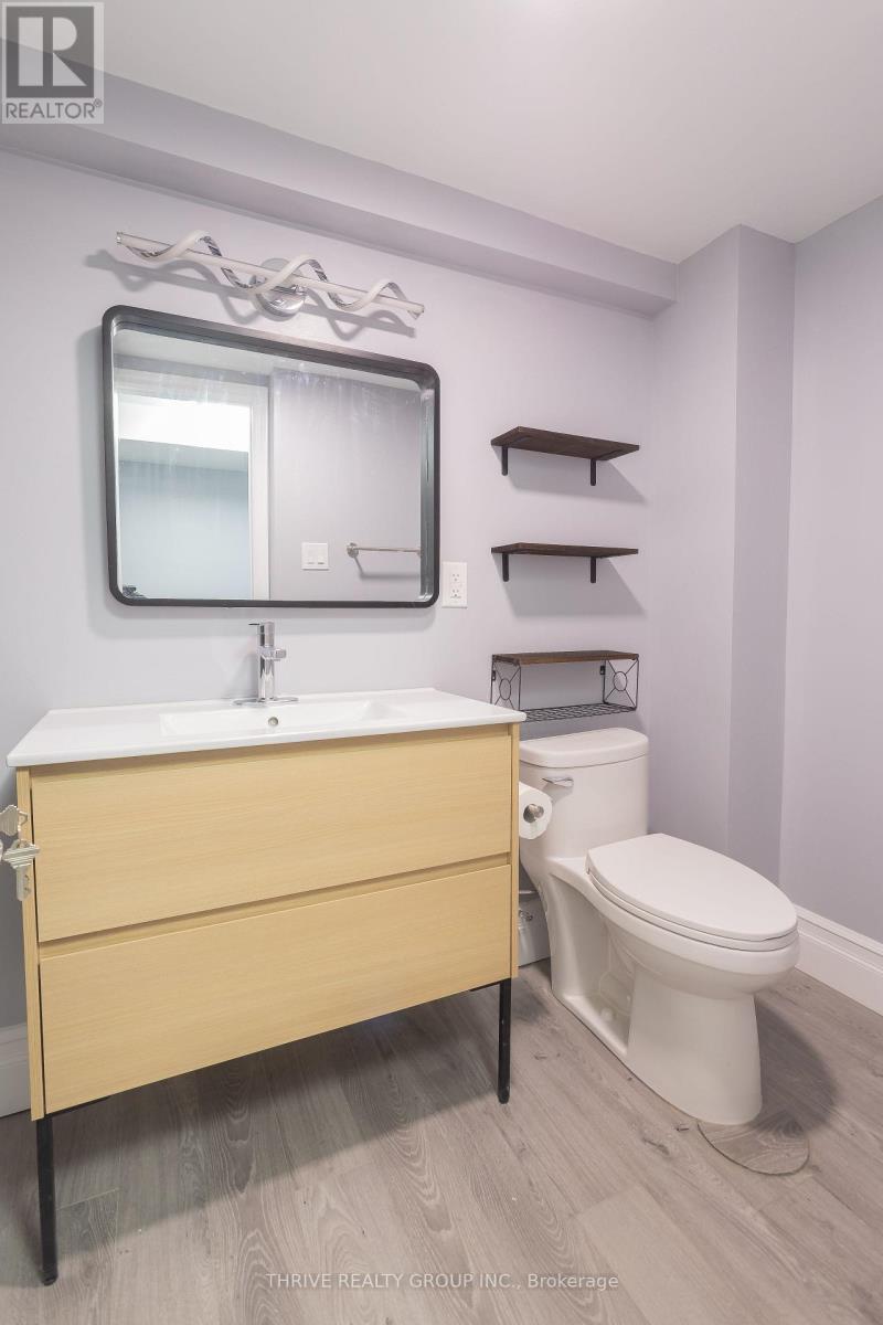 Basement - 3 Winding Woods Crescent, London North, Ontario  N6G 3G3 - Photo 6 - X13111252