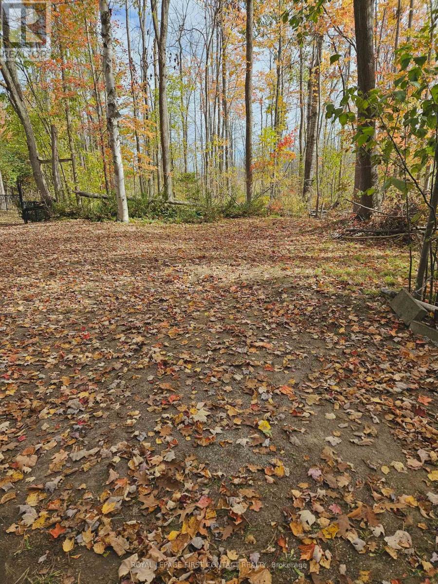 3040 Grass Lake Line, Severn, Ontario  L0K 2B0 - Photo 3 - S13097596
