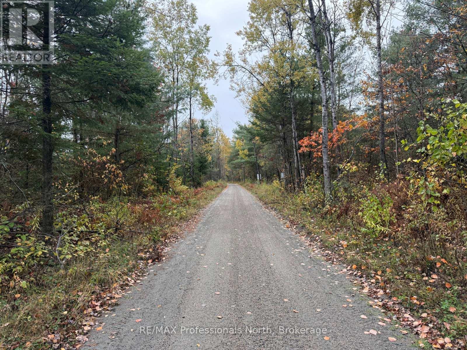 4538 County Road 121, Minden Hills, Ontario  K0M 2A1 - Photo 34 - X13111262