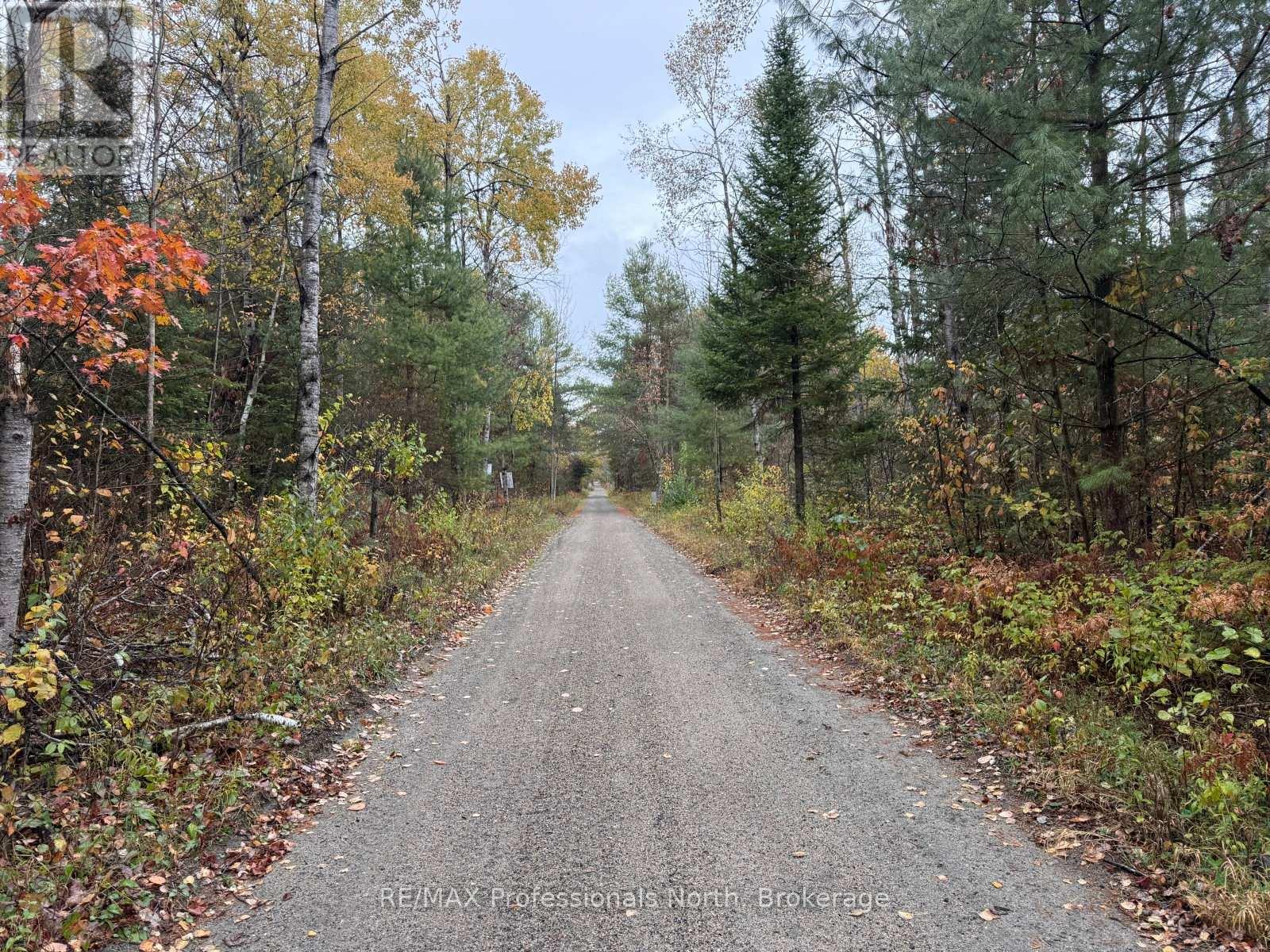 4538 County Road 121, Minden Hills, Ontario  K0M 2A1 - Photo 35 - X13111262