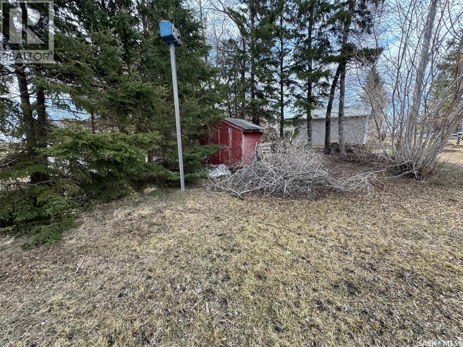 228 2nd Avenue, Spalding, Saskatchewan  S0K 4C0 - Photo 10 - SK035535