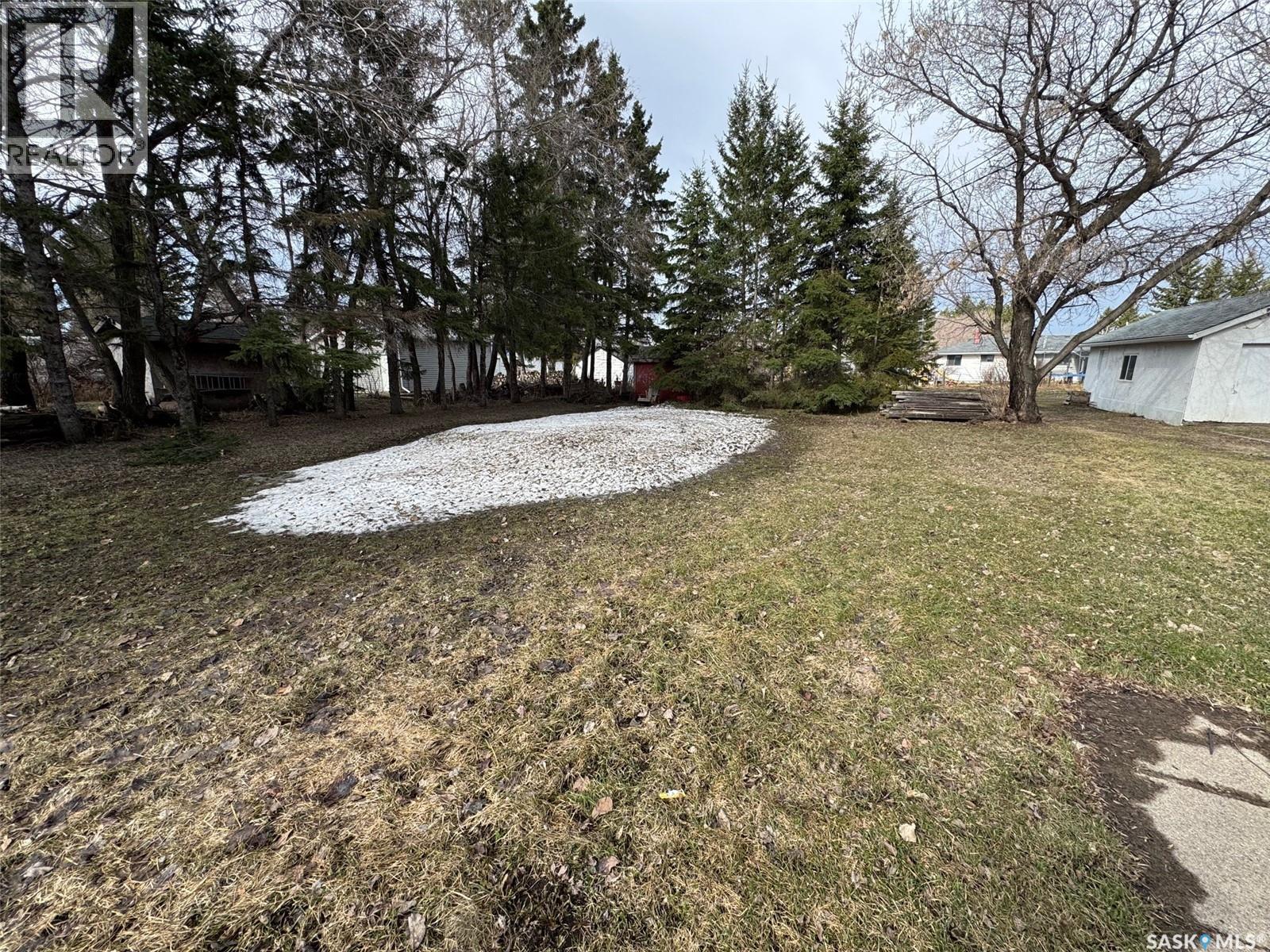 228 2nd Avenue, Spalding, Saskatchewan  S0K 4C0 - Photo 8 - SK035535