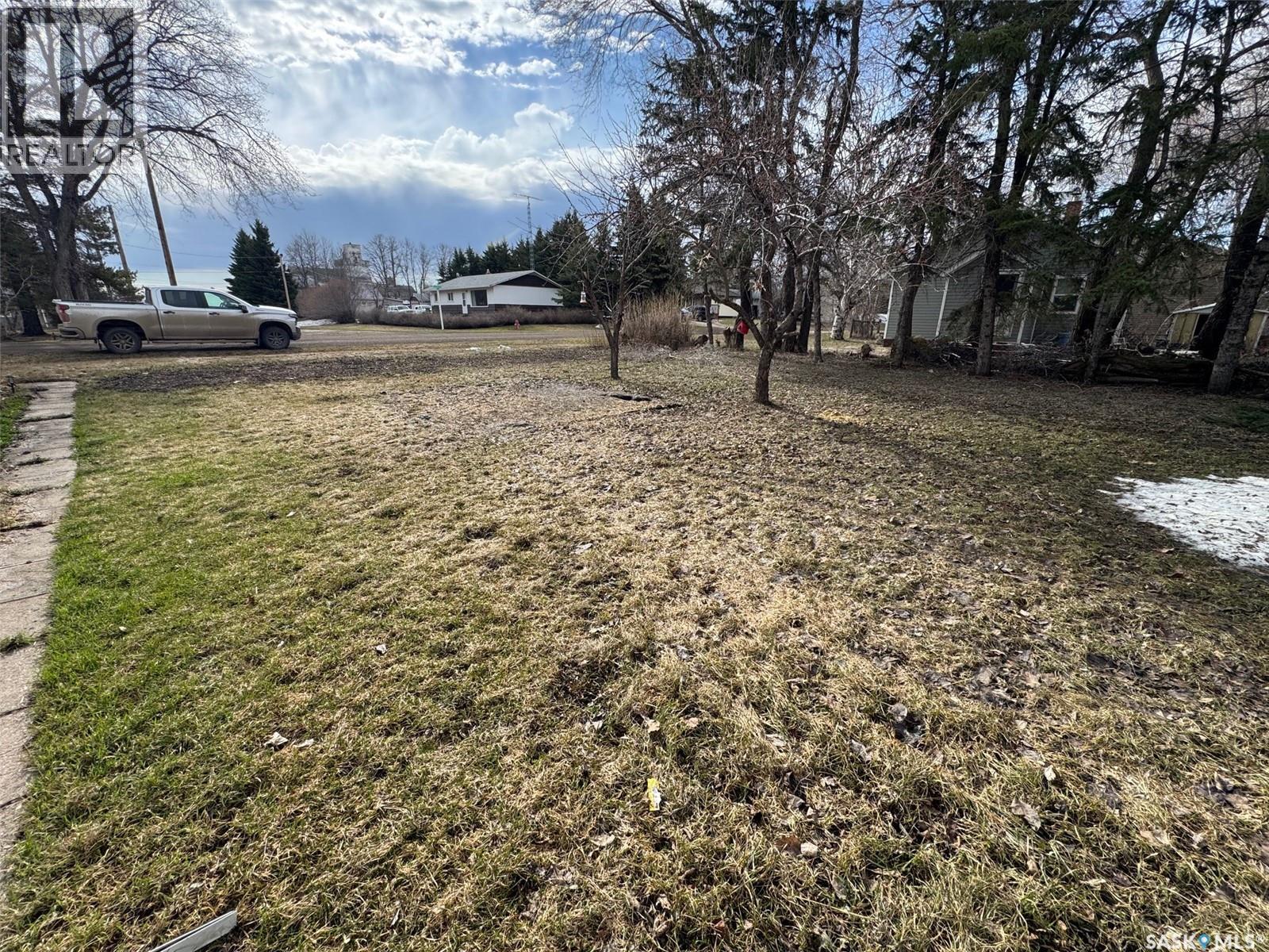 228 2nd Avenue, Spalding, Saskatchewan  S0K 4C0 - Photo 9 - SK035535