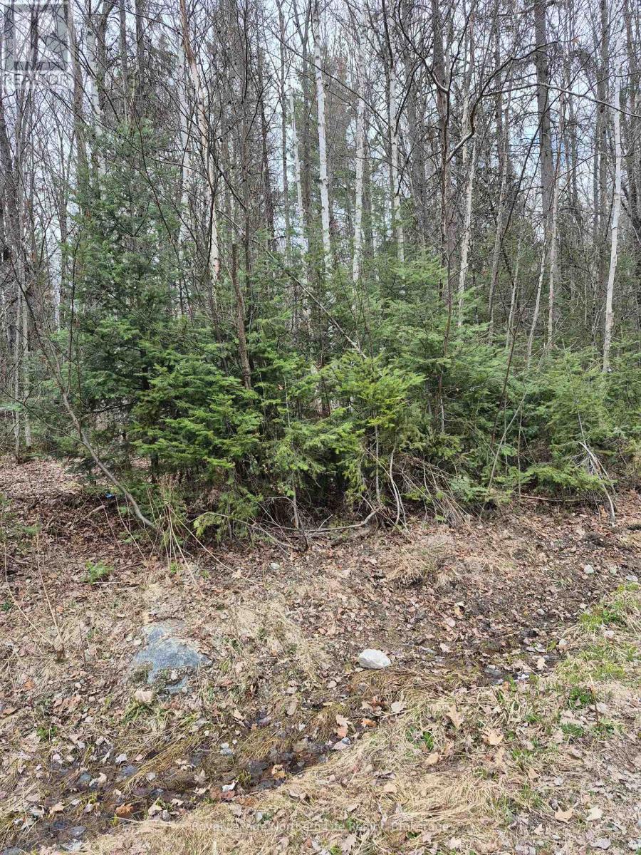 LOT 5 ARBUTUS TRAIL, Mattawan, Ontario