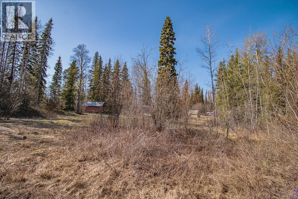 1055 Tachie Road, Fort St. James, British Columbia  V0J 1P0 - Photo 27 - R3120498