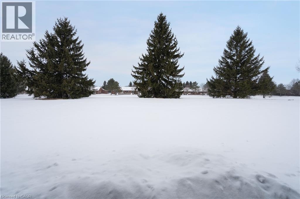 108 St. Michael's Street, Delhi, Ontario  N4B 0A3 - Photo 31 - 40813511
