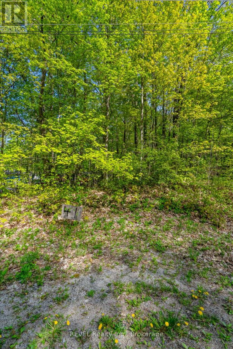 Lot 41 Wakunda Crescent, Tiny, Ontario  L9M 0B2 - Photo 8 - S13111796