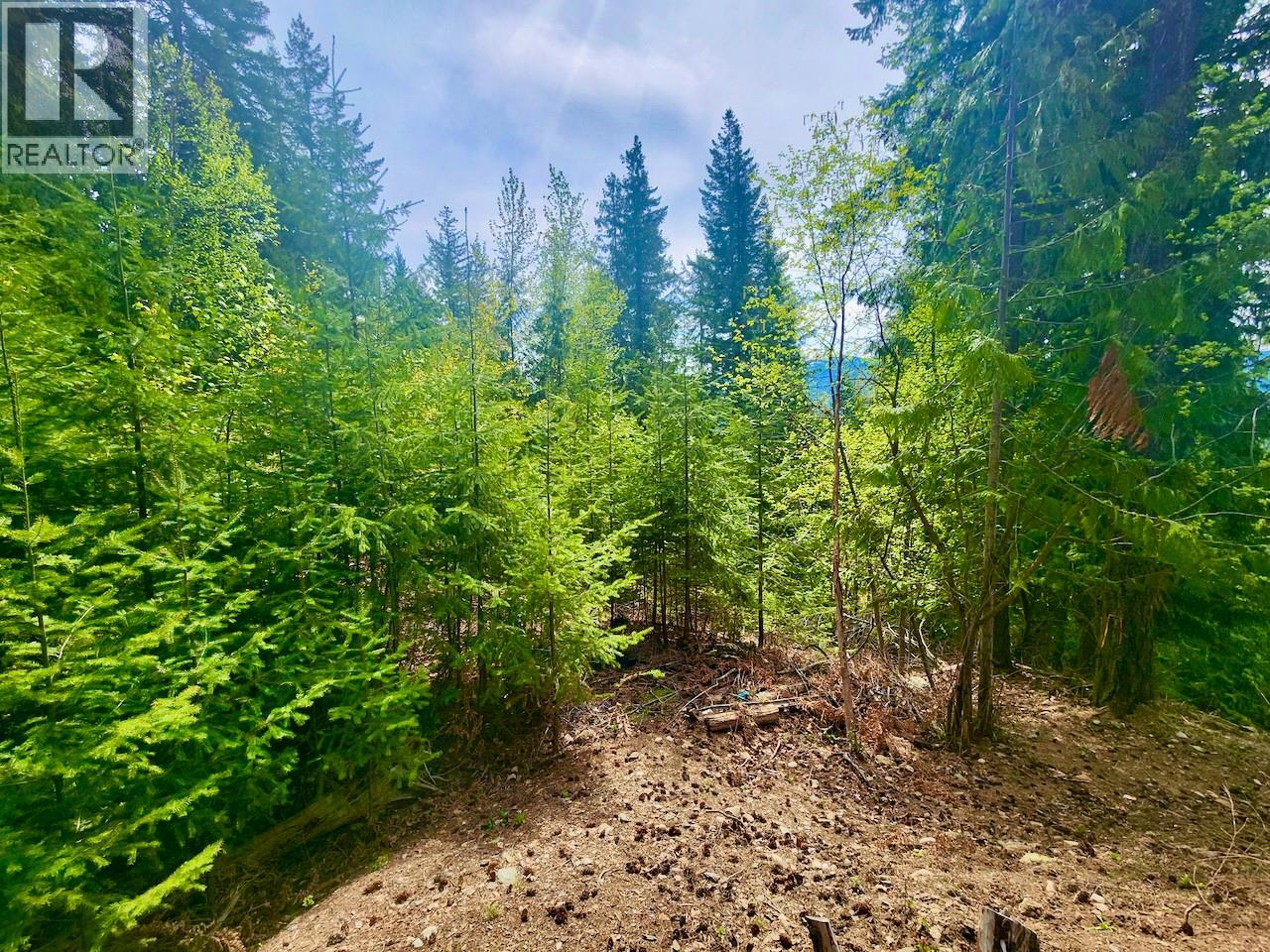 Lot 46 Lichen Road Lot# 46, Anglemont, British Columbia  V0E 1M8 - Photo 2 - 10384257