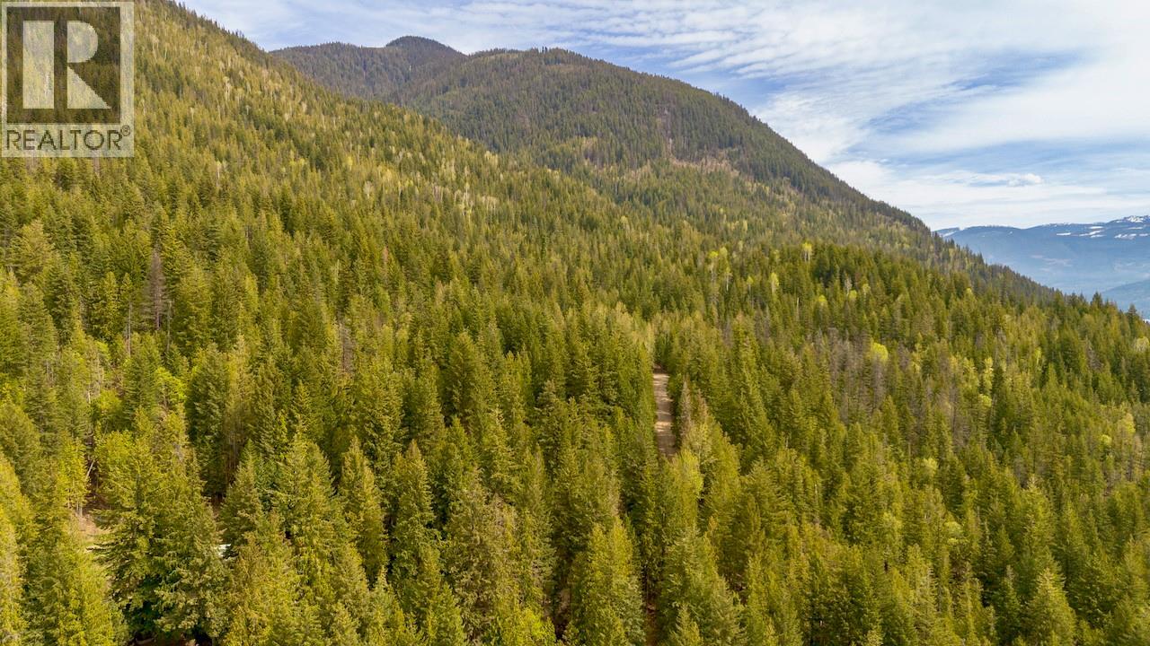 Lot 46 Lichen Road Lot# 46, Anglemont, British Columbia  V0E 1M8 - Photo 19 - 10384257