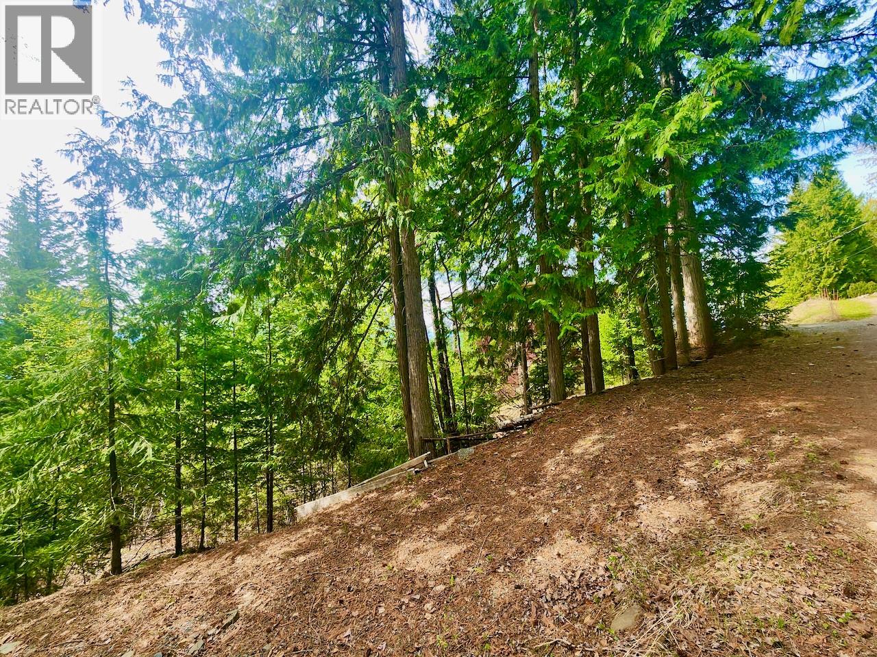 Lot 46 Lichen Road Lot# 46, Anglemont, British Columbia  V0E 1M8 - Photo 7 - 10384257