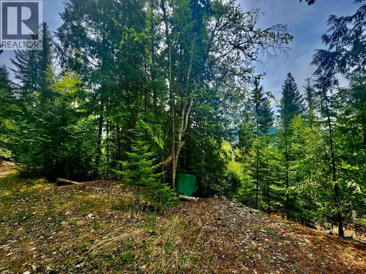 Lot 46 Lichen Road Lot# 46, Anglemont, British Columbia  V0E 1M8 - Photo 6 - 10384257