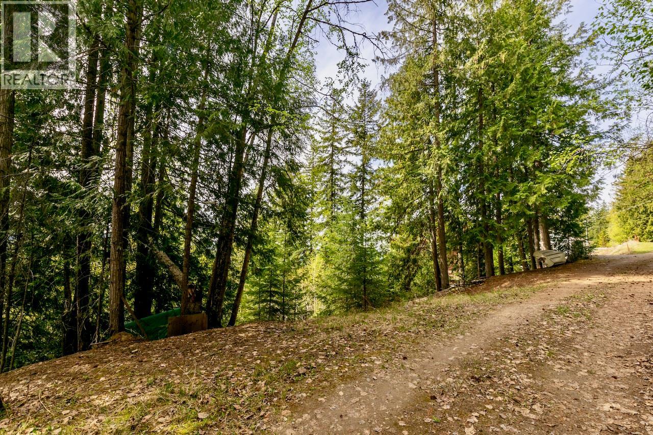 Lot 46 Lichen Road Lot# 46, Anglemont, British Columbia  V0E 1M8 - Photo 11 - 10384257