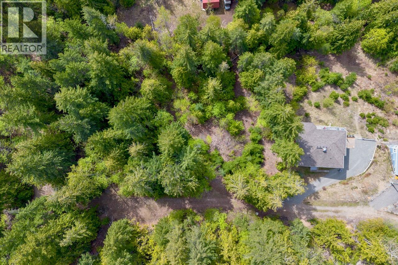 Lot 46 Lichen Road Lot# 46, Anglemont, British Columbia  V0E 1M8 - Photo 14 - 10384257
