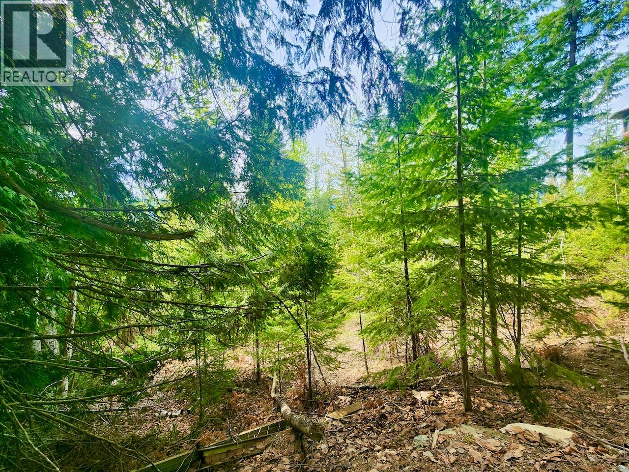 Lot 46 Lichen Road Lot# 46, Anglemont, British Columbia  V0E 1M8 - Photo 8 - 10384257