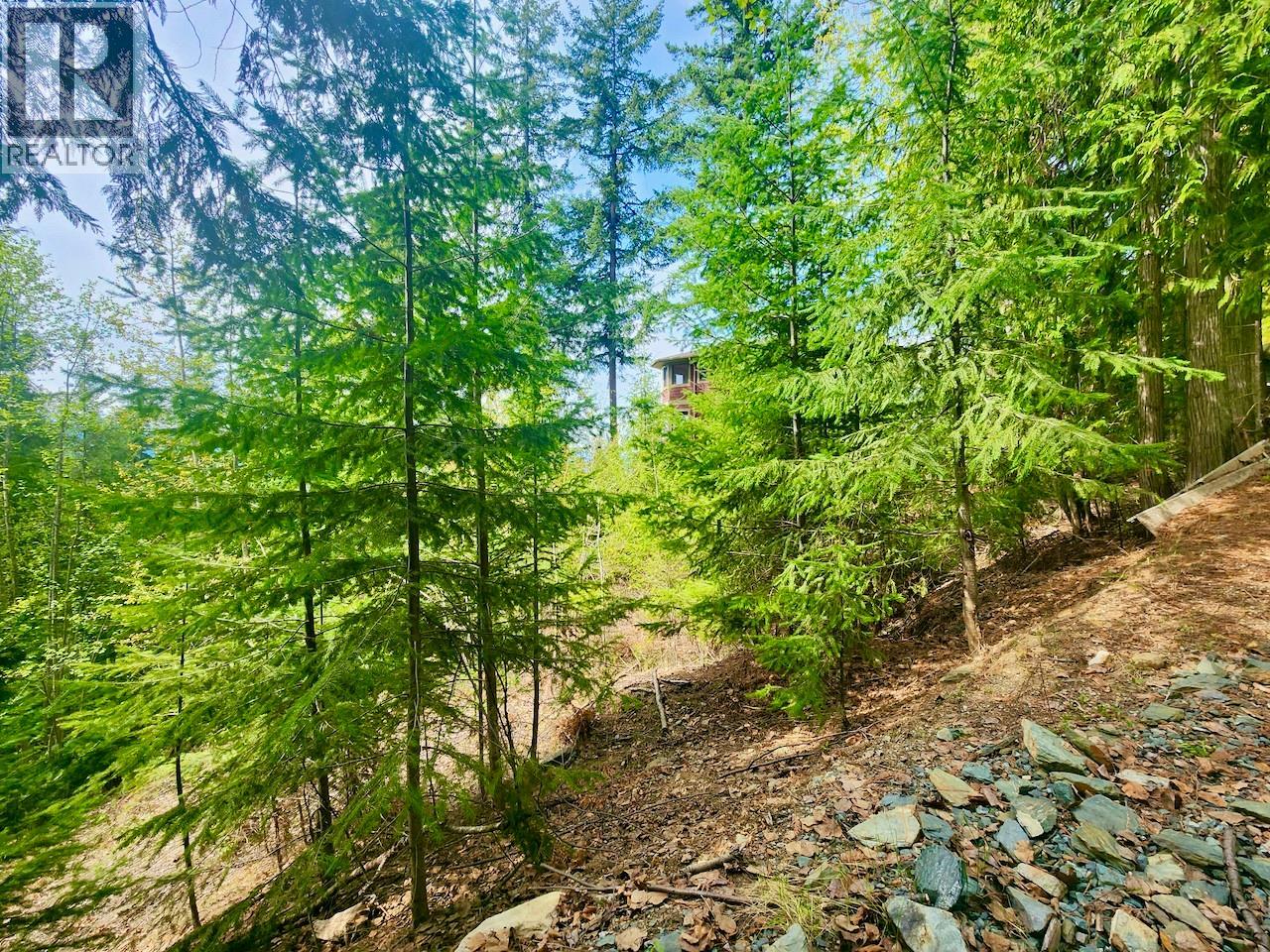 Lot 46 Lichen Road Lot# 46, Anglemont, British Columbia  V0E 1M8 - Photo 9 - 10384257