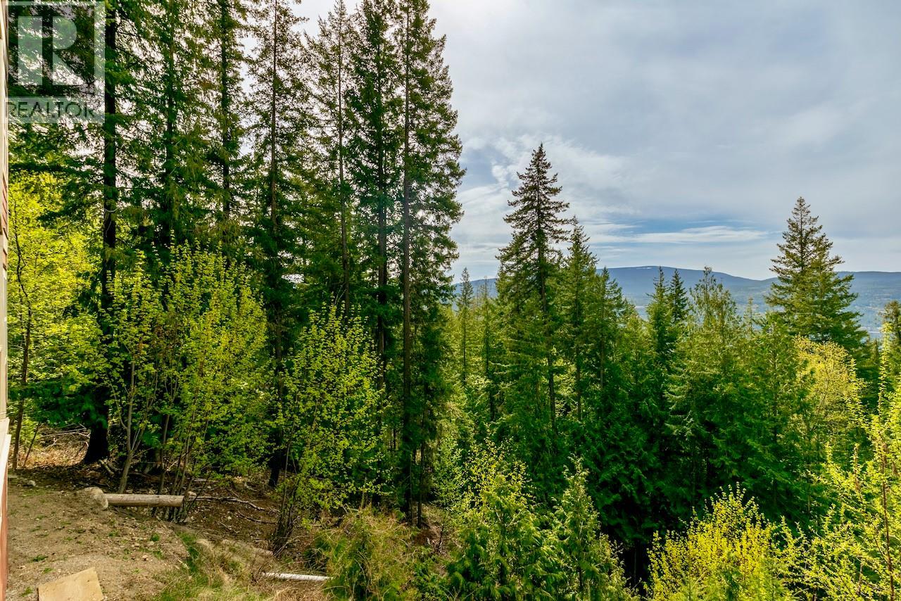 Lot 46 Lichen Road Lot# 46, Anglemont, British Columbia  V0E 1M8 - Photo 10 - 10384257