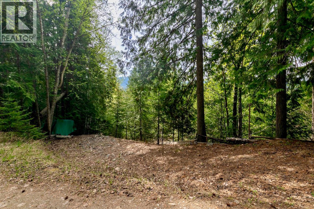 Lot 46 Lichen Road Lot# 46, Anglemont, British Columbia  V0E 1M8 - Photo 5 - 10384257