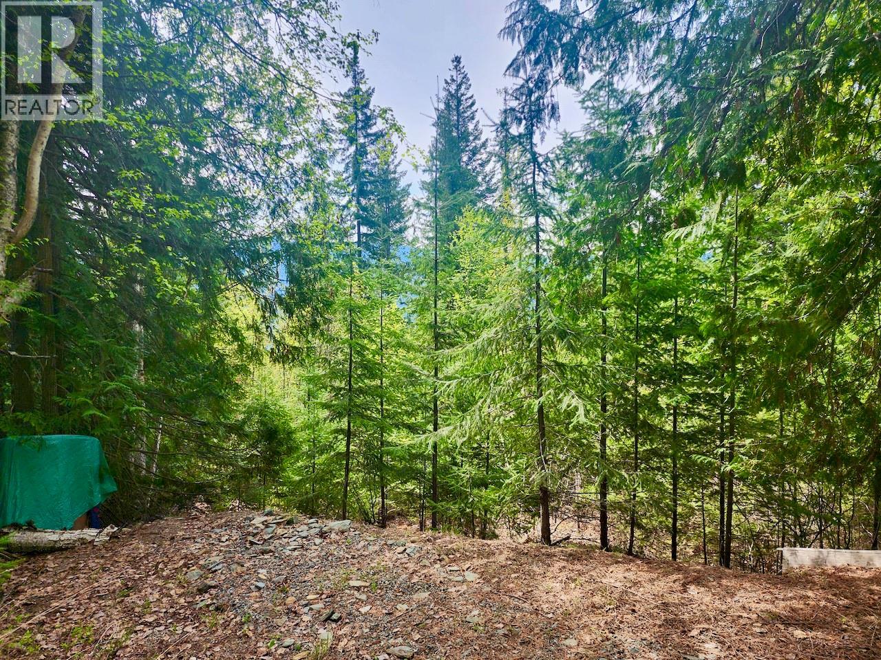 Lot 46 Lichen Road Lot# 46, Anglemont, British Columbia  V0E 1M8 - Photo 4 - 10384257