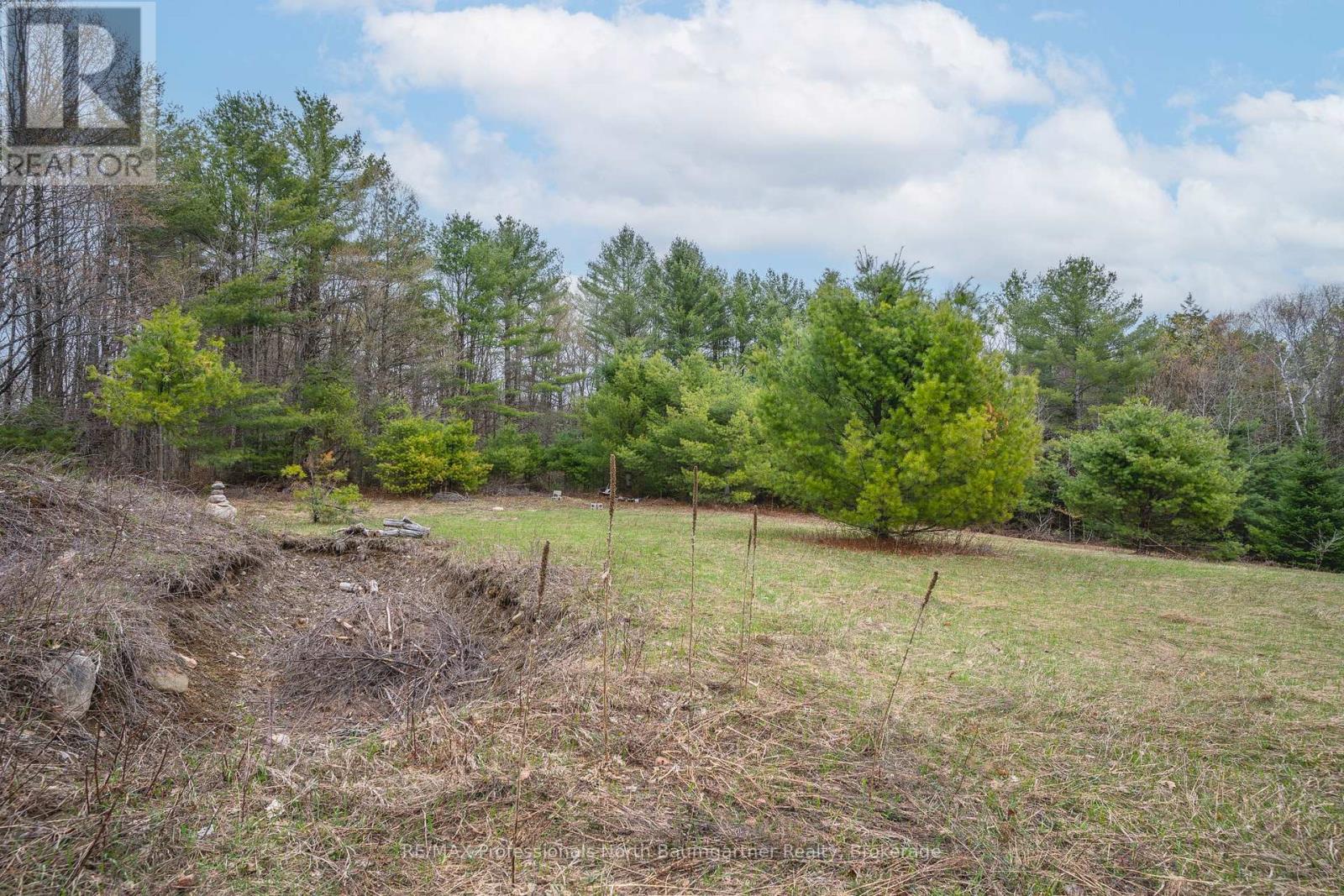 1112 Tom Bolton Road, Minden Hills, Ontario  K0M 2K0 - Photo 10 - X13111900