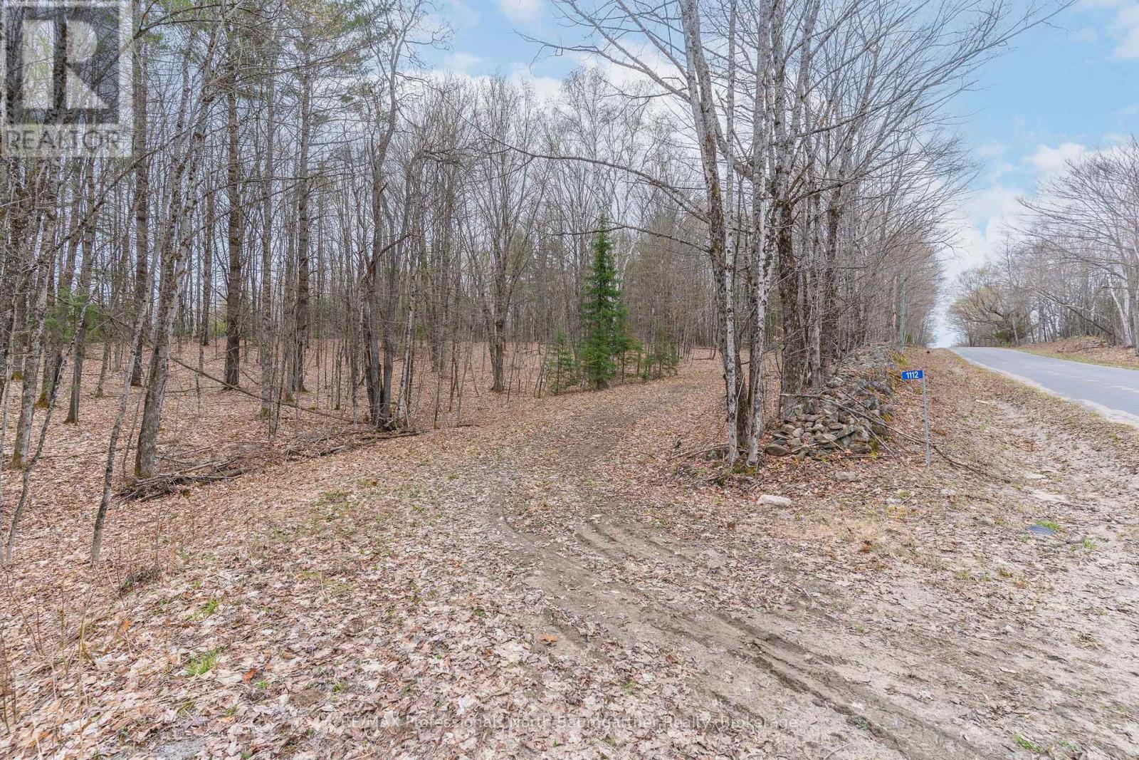 1112 Tom Bolton Road, Minden Hills, Ontario  K0M 2K0 - Photo 5 - X13111900