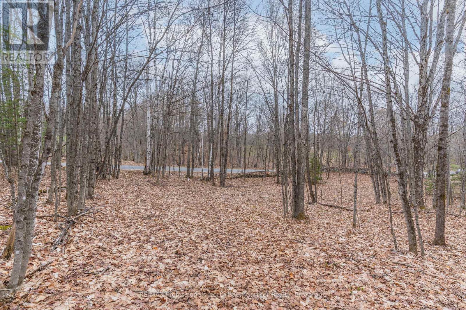 1112 Tom Bolton Road, Minden Hills, Ontario  K0M 2K0 - Photo 6 - X13111900