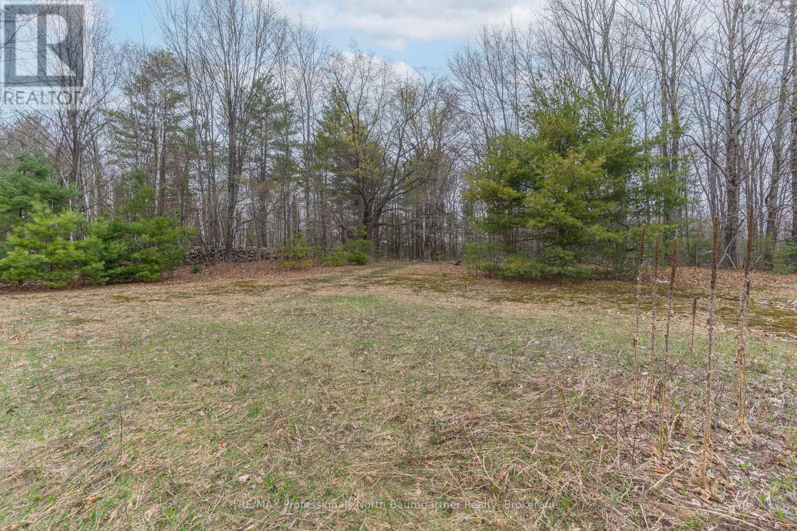 1112 Tom Bolton Road, Minden Hills, Ontario  K0M 2K0 - Photo 9 - X13111900