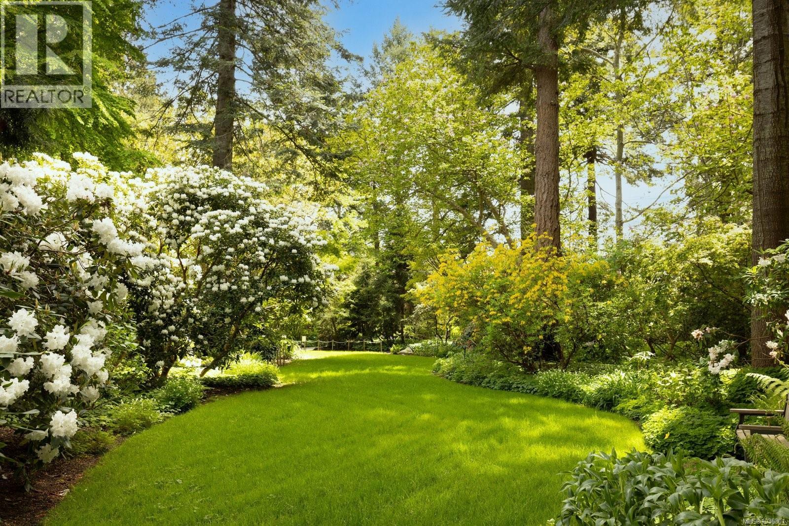 203 3614 Richmond Rd, Saanich, British Columbia  V8P 4R5 - Photo 38 - 1036301