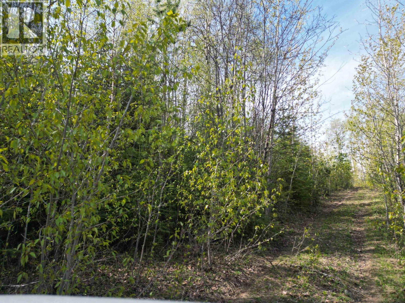 Lot A Bald Hill Road, Burns Lake, British Columbia  V0J 1E0 - Photo 11 - R3082076