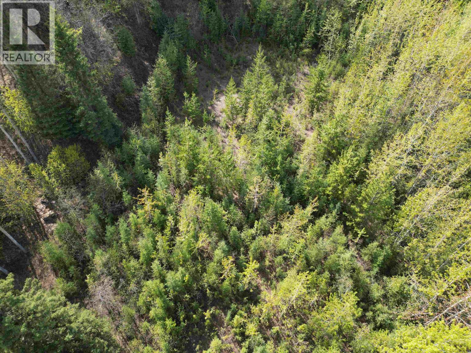 Lot A Bald Hill Road, Burns Lake, British Columbia  V0J 1E0 - Photo 7 - R3082076