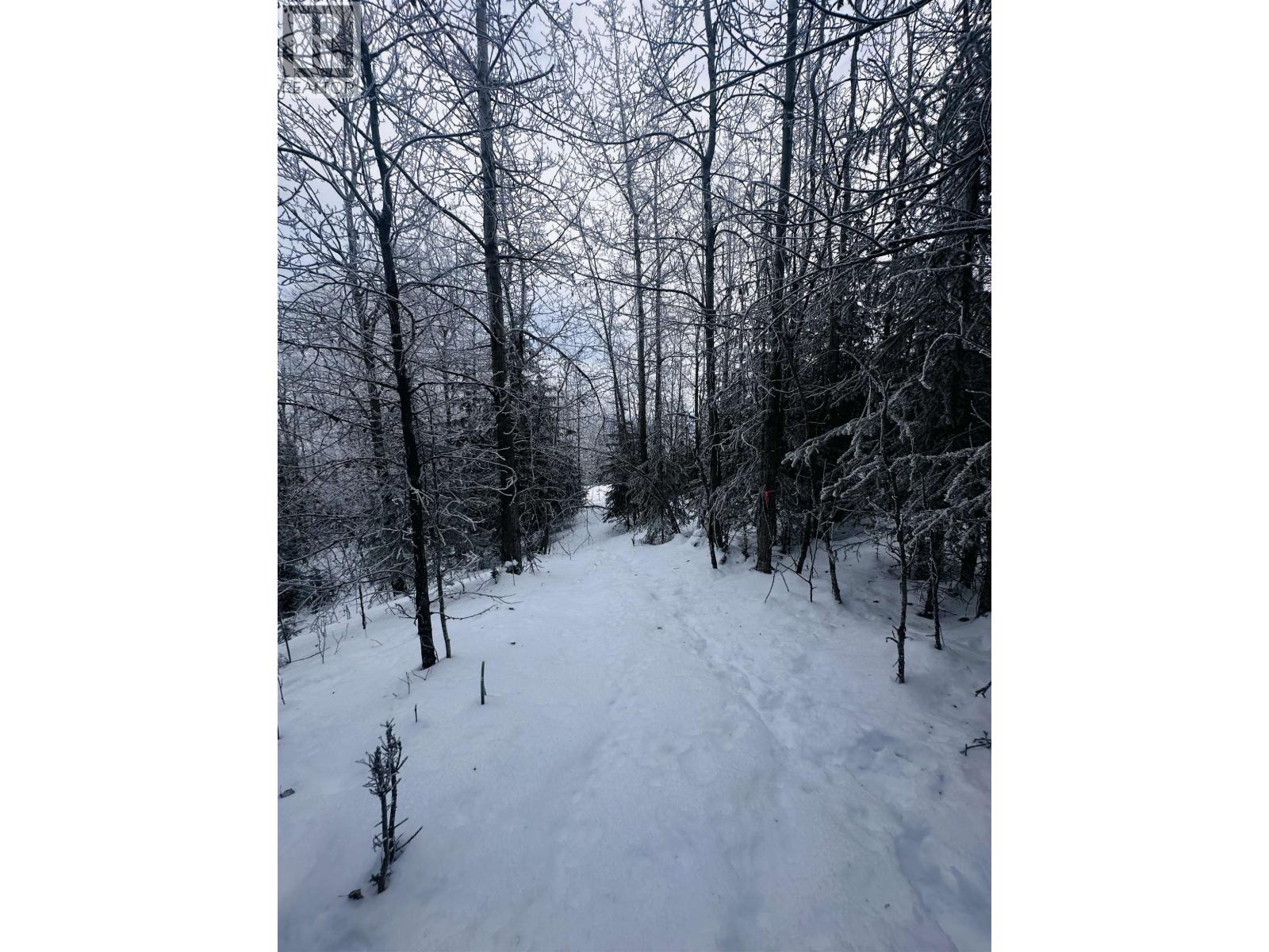 Lot A Bald Hill Road, Burns Lake, British Columbia  V0J 1E0 - Photo 28 - R3082076
