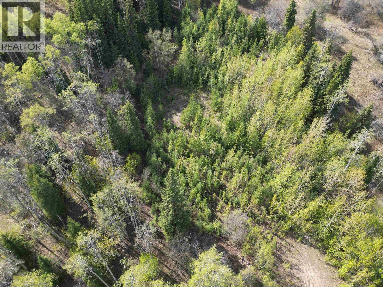 Lot A Bald Hill Road, Burns Lake, British Columbia  V0J 1E0 - Photo 5 - R3082076