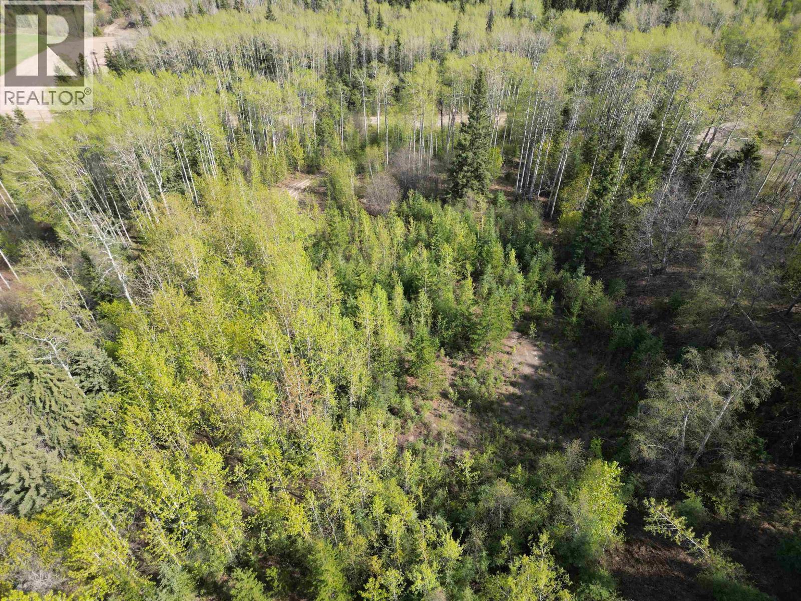 Lot A Bald Hill Road, Burns Lake, British Columbia  V0J 1E0 - Photo 1 - R3082076