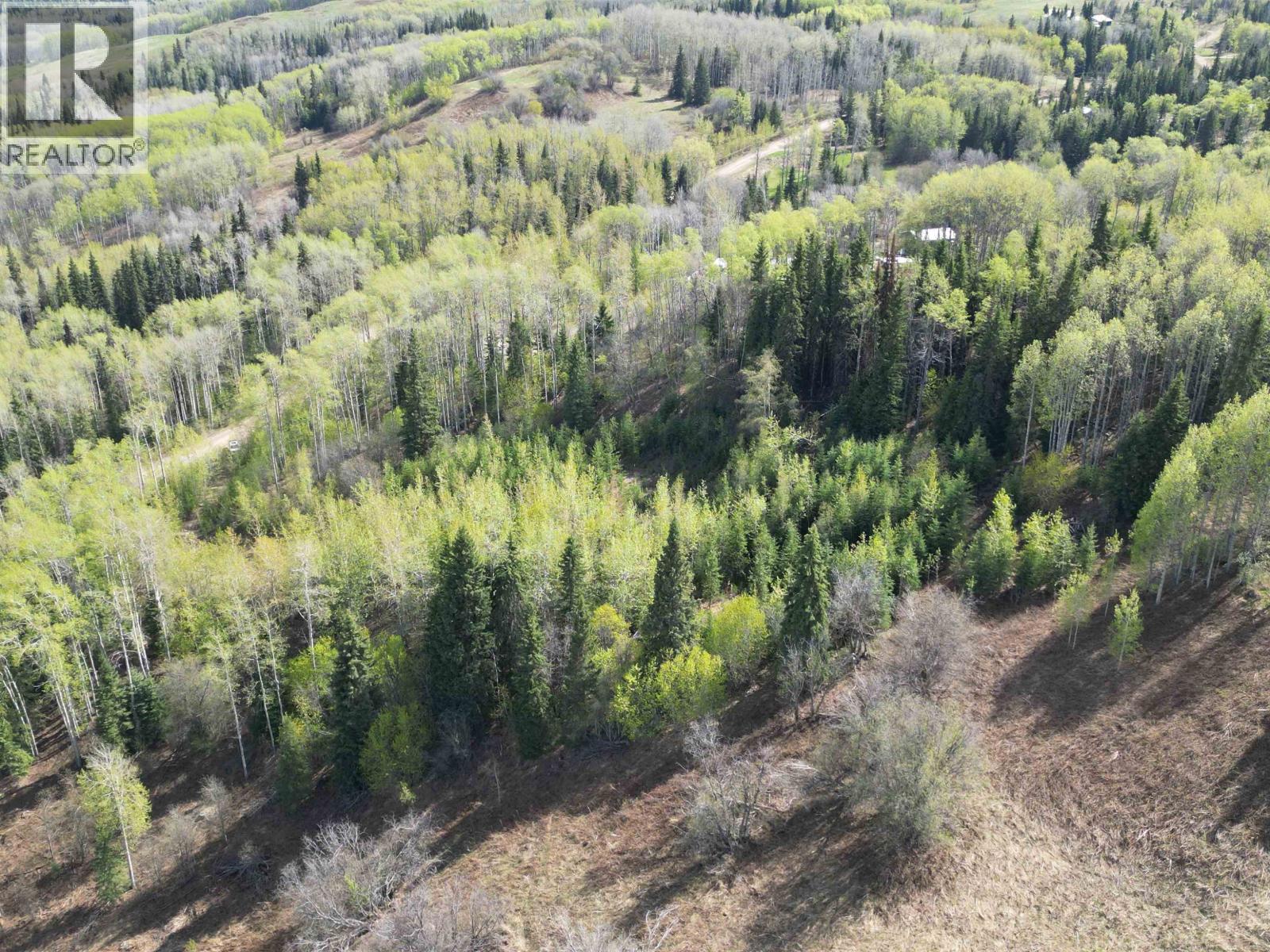 Lot A Bald Hill Road, Burns Lake, British Columbia  V0J 1E0 - Photo 9 - R3082076