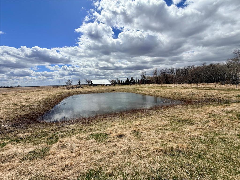 33021 36n Road, Graysville, Manitoba  R0G 0T0 - Photo 49 - 202610086