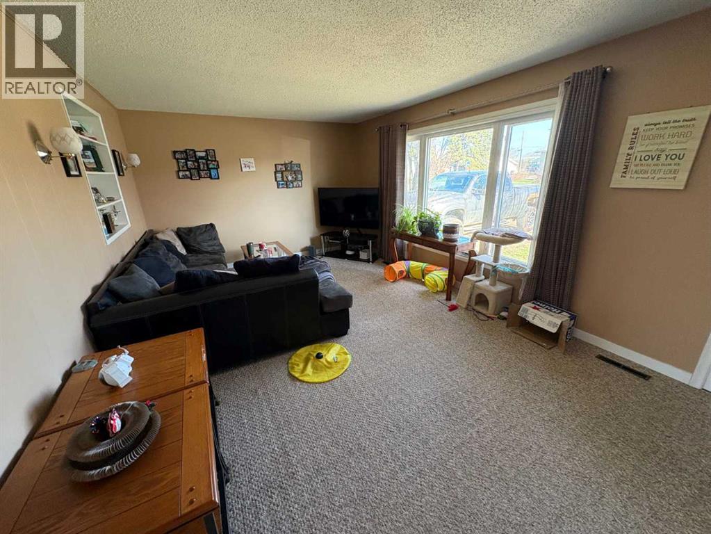 4715 47 Avenue, Grimshaw, Alberta  T0H 1W0 - Photo 8 - A2309825