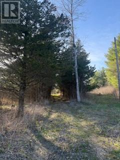 3439 County Rd 3, Leeds And The Thousand Islands, Ontario  K0E 1N0 - Photo 11 - X13112320