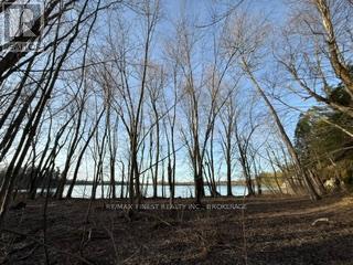 3439 County Rd 3, Leeds And The Thousand Islands, Ontario  K0E 1N0 - Photo 12 - X13112320