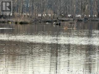 3439 County Rd 3, Leeds And The Thousand Islands, Ontario  K0E 1N0 - Photo 15 - X13112320