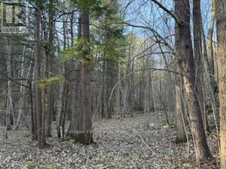 3439 County Rd 3, Leeds And The Thousand Islands, Ontario  K0E 1N0 - Photo 16 - X13112320