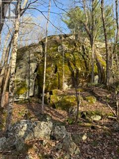 3439 County Rd 3, Leeds And The Thousand Islands, Ontario  K0E 1N0 - Photo 18 - X13112320