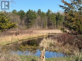 3439 County Rd 3, Leeds And The Thousand Islands, Ontario  K0E 1N0 - Photo 26 - X13112320