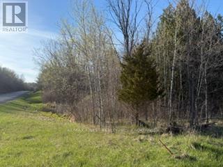 3439 County Rd 3, Leeds And The Thousand Islands, Ontario  K0E 1N0 - Photo 4 - X13112320