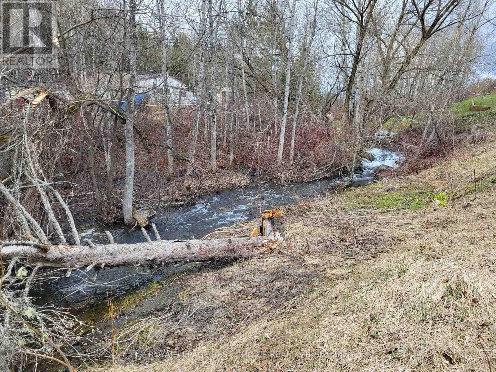 29 Hudson Bay Road, Cobalt, Ontario  P0J 1C0 - Photo 3 - T12944768