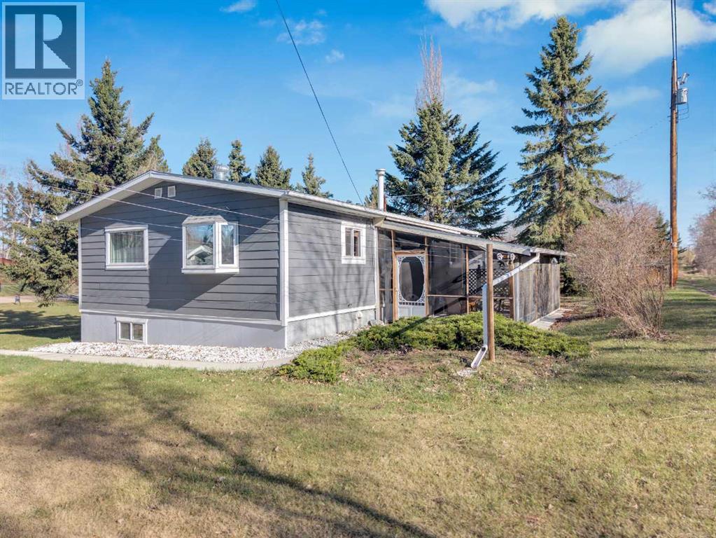 5221 52 Street, Mirror, Alberta  T0C 3C0 - Photo 4 - A2308904