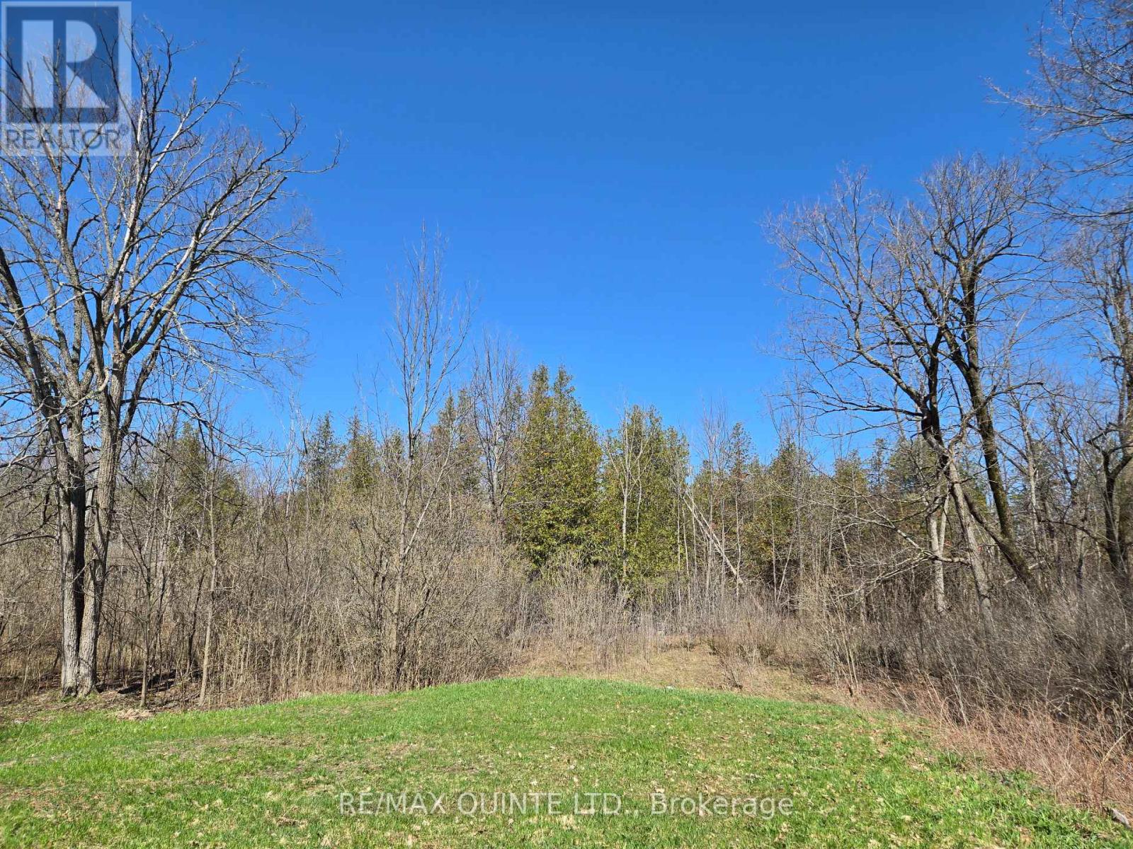 20 Thompson Road, Centre Hastings, Ontario  K0K 2K0 - Photo 34 - X13110576