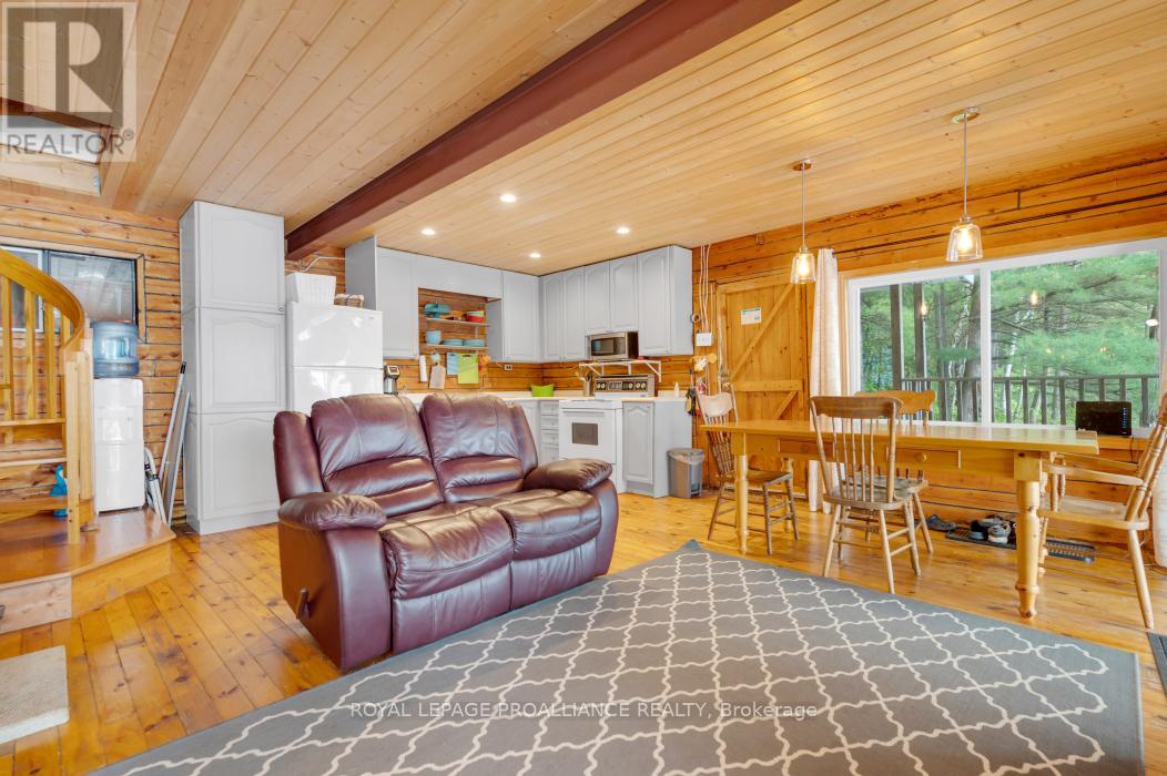 10520 Mazinaw Lake Access, Frontenac, Ontario  K0H 1K0 - Photo 7 - X13112126