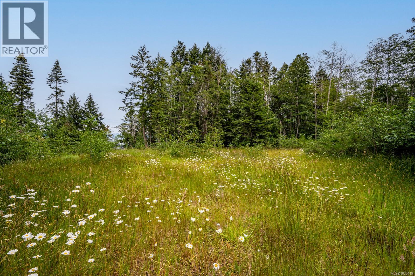 Lot 4 Anderton Rd N, Comox, British Columbia  V9M 3Z2 - Photo 13 - 1036419